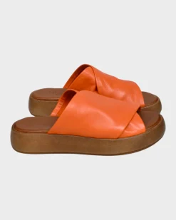 Bueno Jaxon