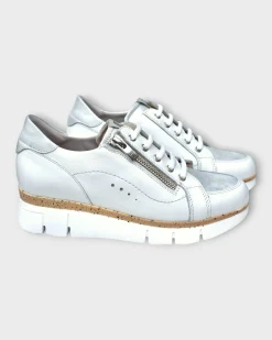 Dorking India D9301