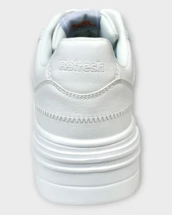 Refresh 172408