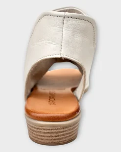 Roamers Maddison