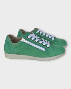 Saydo Zany Mint