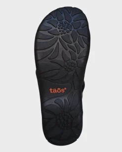 Taos Gift 2